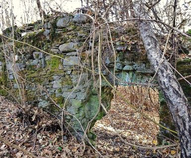 Dietrichstein Castle (Burgruine Dietrichstein)