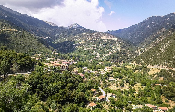 Лампея