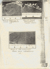 Dyatlov Pass Incident