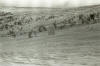 Dyatlov Pass Incident