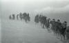 Dyatlov Pass Incident