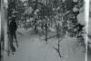 Dyatlov Pass Incident