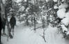 Dyatlov Pass Incident
