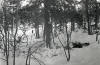 Dyatlov Pass Incident