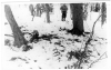 Dyatlov Pass Incident
