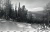 Dyatlov Pass Incident