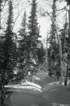 Dyatlov Pass Incident