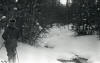 Dyatlov Pass Incident