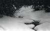 Dyatlov Pass Incident