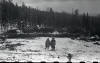 Dyatlov Pass Incident