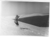 Dyatlov Pass Incident
