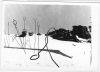 Dyatlov Pass Incident
