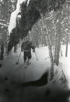 Перевал Дятлова