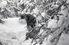 Dyatlov Pass Incident