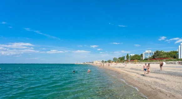 Саки
