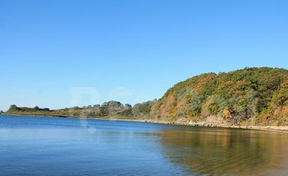 Зарубино