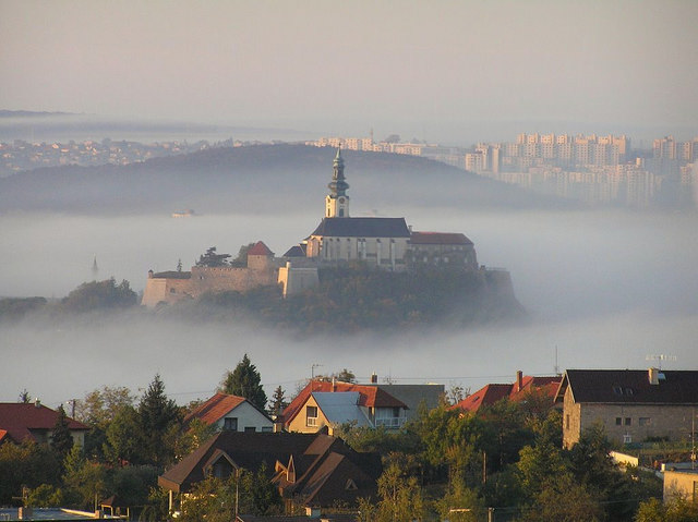 Нитра
