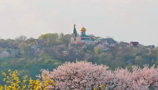 Вышгород